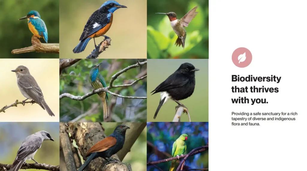 Assetz Code Name Palmscape Plots biodiversity by Assetz Property Group located at IVC Road, Devanahalli, Bangalore Karnataka